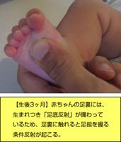 赤ちゃんの足裏機能